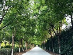 -前小桔亲子创意农场·草莓采摘·露营烧烤