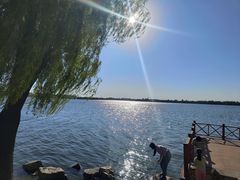 -丁香湖公园