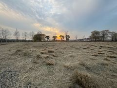 -嘉北郊野公园