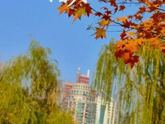 -新虹桥中心花园