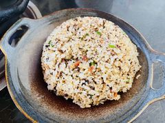 -蘑统田下·野生菌火锅