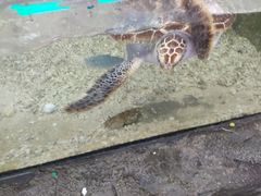 -鸿通城购物中心