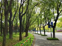 -上海大学(宝山校区)