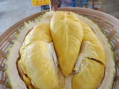 -都念榴莲·城市榴莲