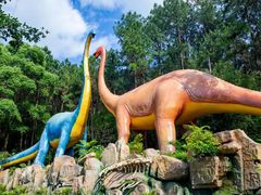 -佛冈森波拉度假区