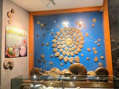 -河南自然博物馆