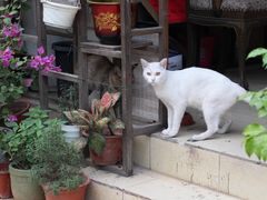 -厝内小眷村(天河南一路店)