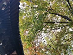 -虞山风景区