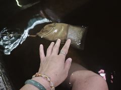 -裕龙汤泉