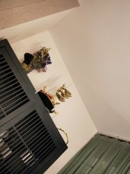 点击看大图 -盘子女人坊古装写真摄影(天津总店)