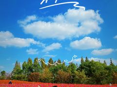 -花开海上生态园