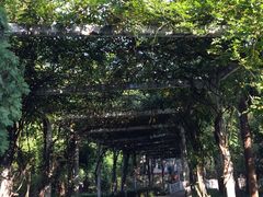 -叶家花园