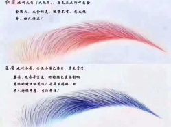-慕拉美甲美睫皮肤管理