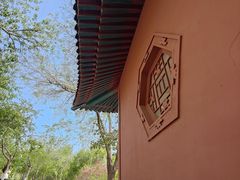 -桃花堤公园