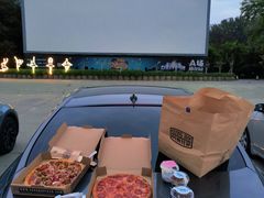 -枫花园汽车电影院(朝阳公园店)