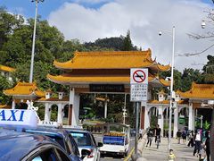 -深圳仙湖植物园