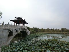 -东湖落雁景区