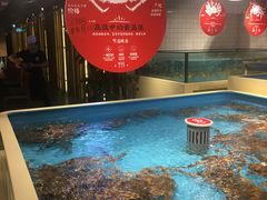 帝王蟹-日进一片海.生腌海鲜火锅.宵夜烧烤(三里屯总店)