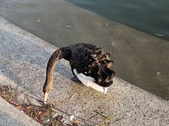 -上海交通大学闵行校区-包玉刚图书馆