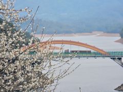 -广州市流溪河国家森林公园