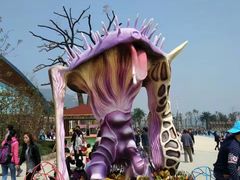 -苏州乐园森林水世界