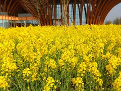 -中国天府农业博览园