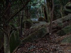 -阳台山森林公园