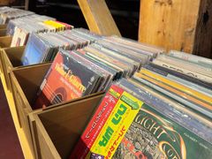 -树懒黑胶唱片店(中山路店)