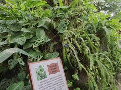 -上海辰山植物园