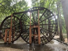 -波尔登森林公园