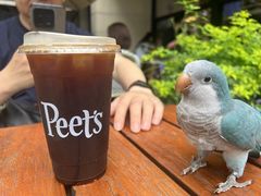 -Peet's Coffee皮爷咖啡(大学路店)