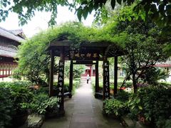 -峨眉山报国寺