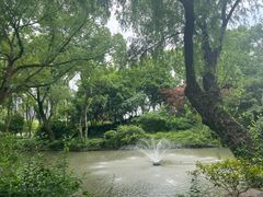 -上海醉白池公园