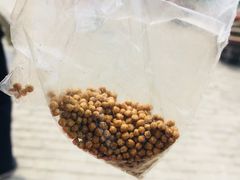 -白洋淀景区