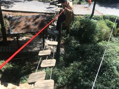 -梦幻奥陶纪景区