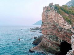 -杨梅坑
