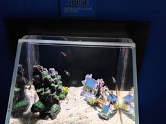 -邯郸海洋世界
