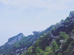 -少华山国家森林公园