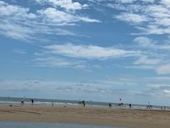 -日照海滨国家森林公园