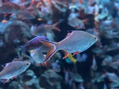 -成都浩海立方海洋公园