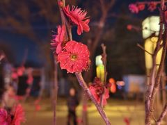 -洛阳市隋唐城遗址植物园