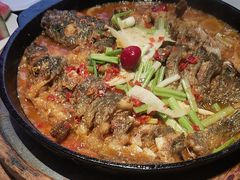 -老板恋上鱼(恒隆广场店)