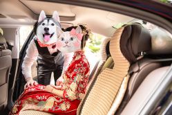 -南京宝娜嫁衣婚纱礼服馆(中央路店)