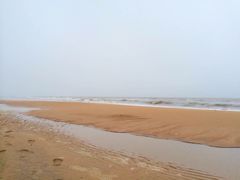 日照海滨国家森林公园-日照海滨国家森林公园