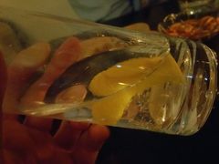 -Catail前苑(前门大街店)