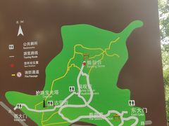 -上海佘山国家森林公园天马山园