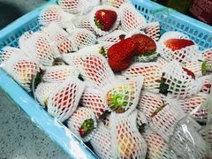 -菜园坝水果市场