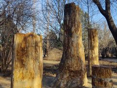 -国家植物园南园