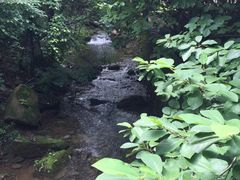 -丹东天桥沟景区