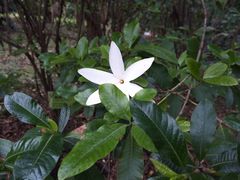 -华南国家植物园-售票处